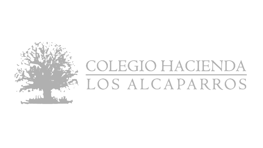Internet Alcaparros