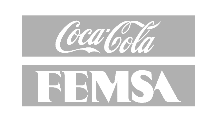 Internet Coca Cola Femsa